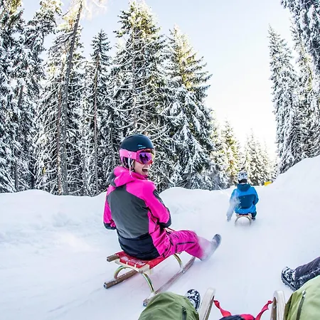 In Near Spieljochbahn Fuegen
