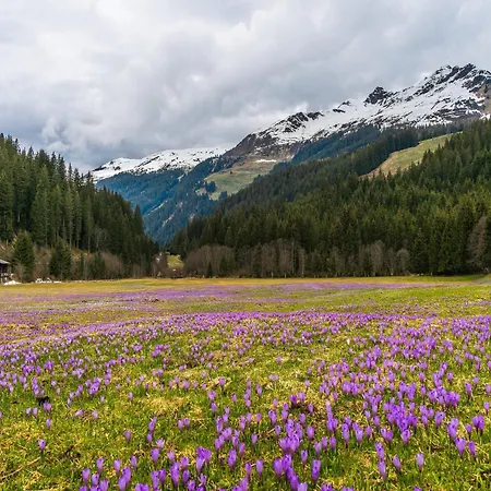 Apartment In Near Spieljochbahn