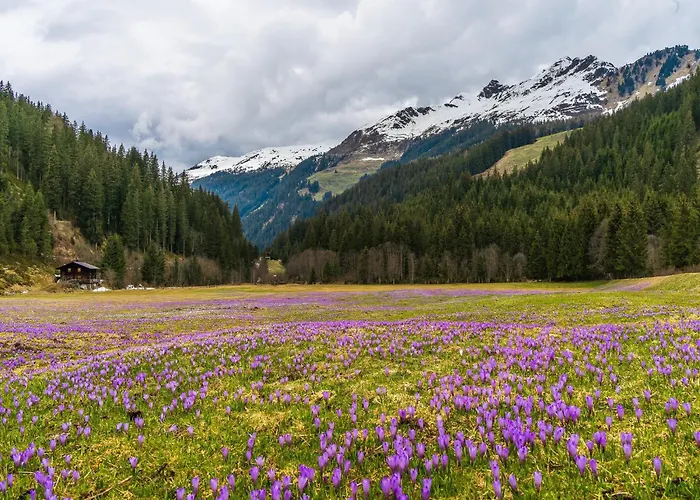 Apartamento In Near Spieljochbahn